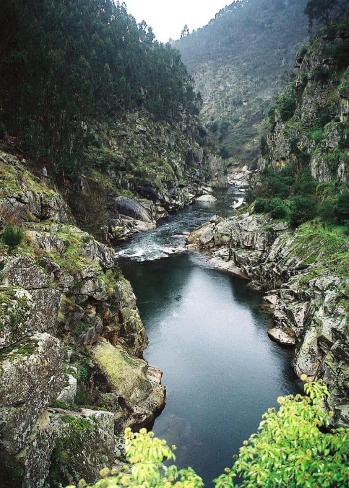 Crasto Payva Douro Nature Castelo de Paiva Dış mekan fotoğraf